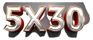 5x30 logo